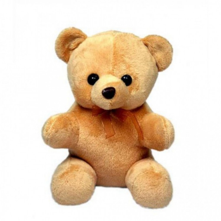 Teddy Bear 6 Inches